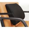 Ergonomska podpora za hrbet